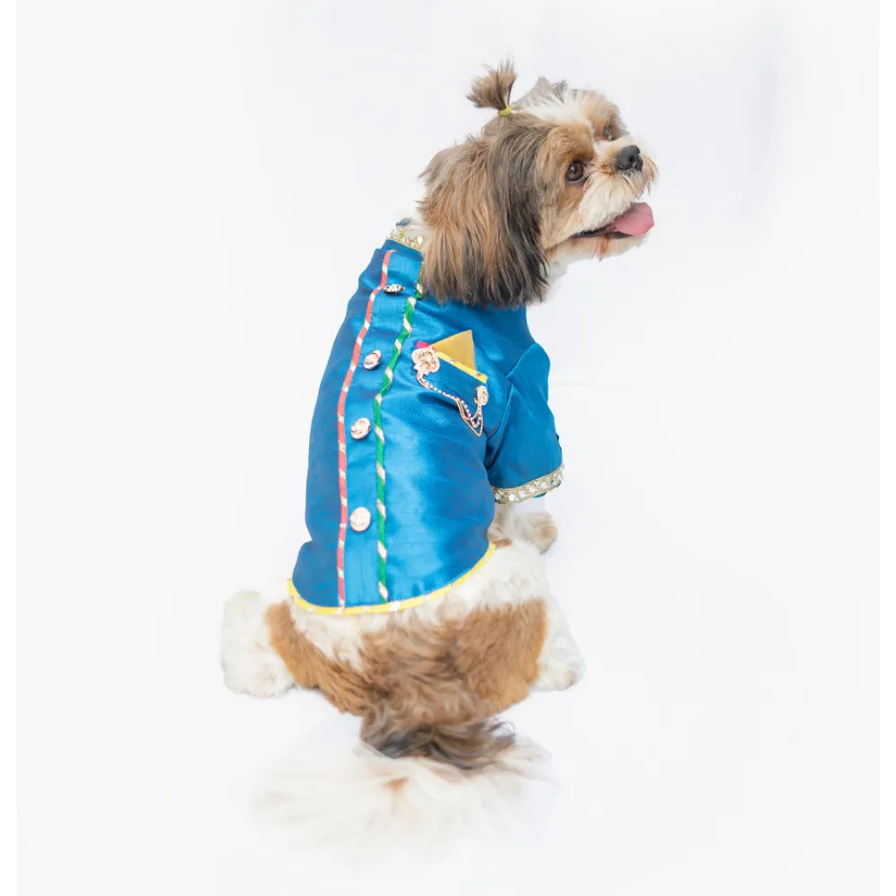 Pawgypets Raw Silk Sherwani for Dogs and Cats (Blue)