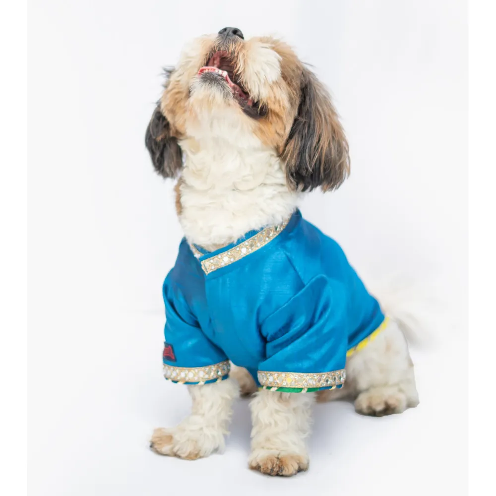 Pawgypets Raw Silk Sherwani for Dogs and Cats (Blue)