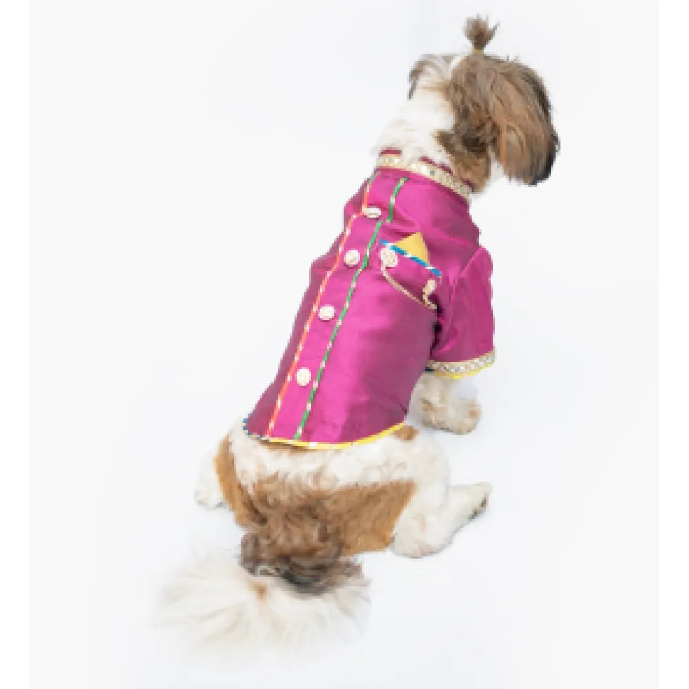 Pawgypets Raw Silk Sherwani for Dogs and Cats (Rani)