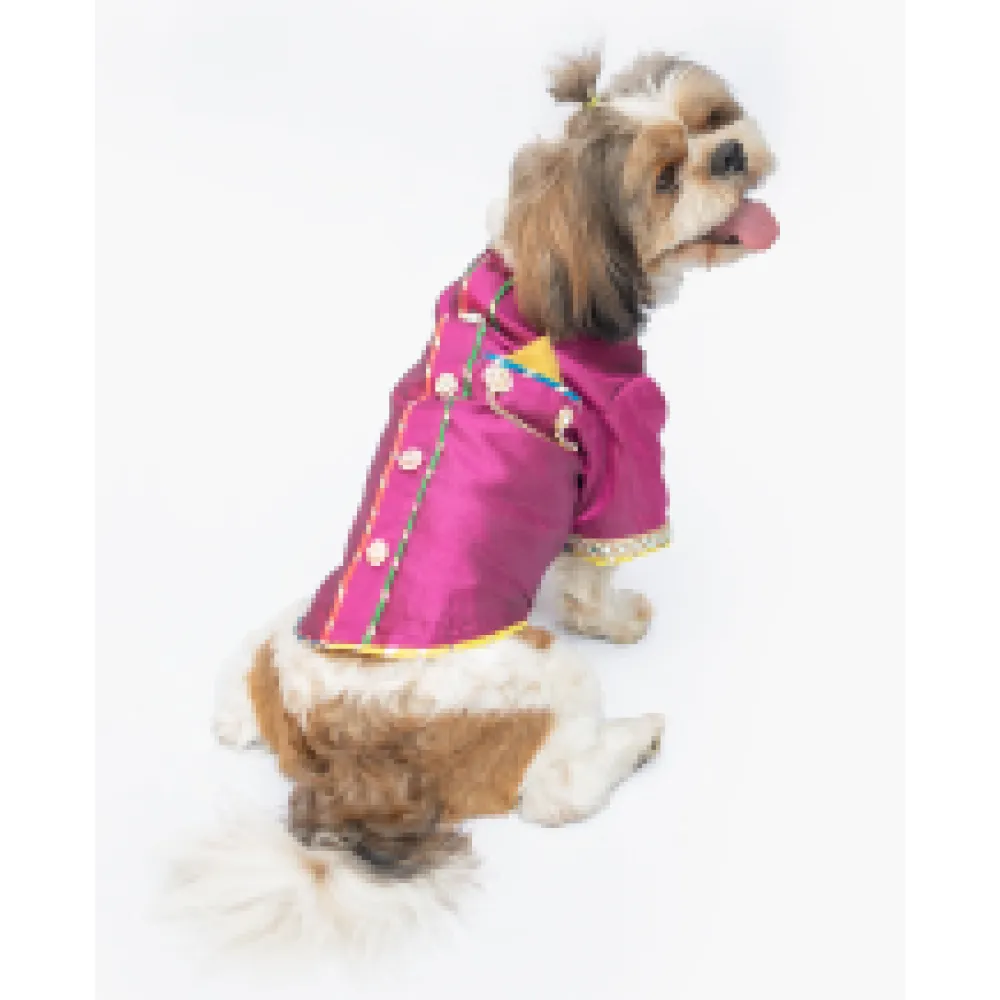 Pawgypets Raw Silk Sherwani for Dogs and Cats (Rani)