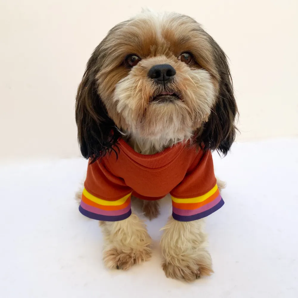 Pawgypets Smiley Sweatshirt for Dogs and Cats (Rust)