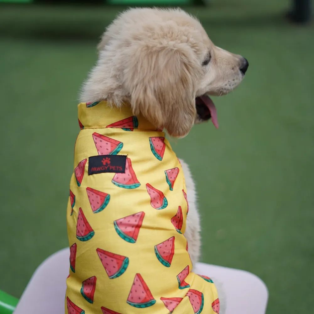 Pawgypets Watermelon sugar sando for Dogs (Yellow)