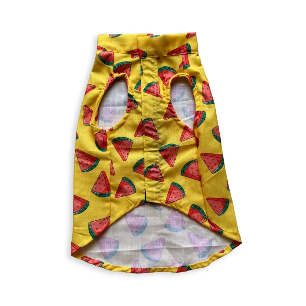 Pawgypets Watermelon sugar sando for Dogs (Yellow)