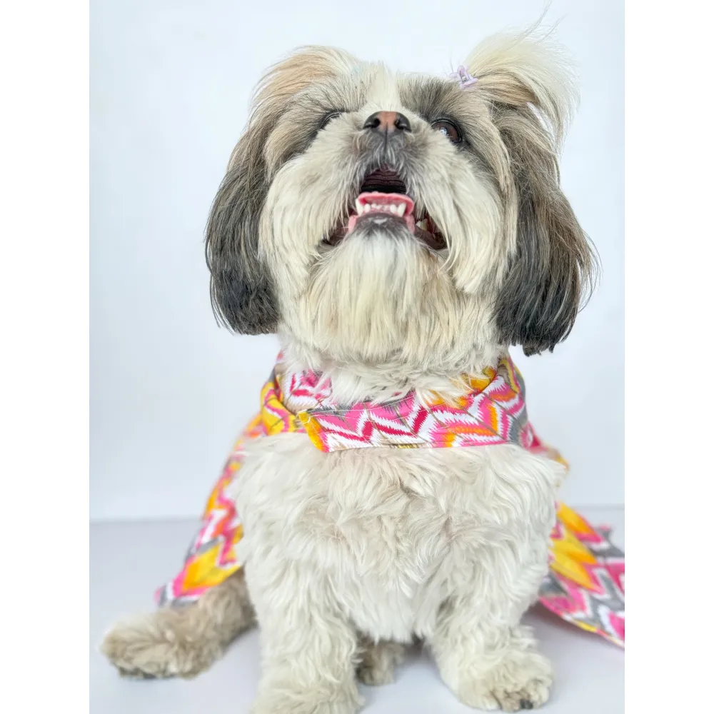 Pawgypets Zig Zag Dress for Dogs and Cats (Pink)