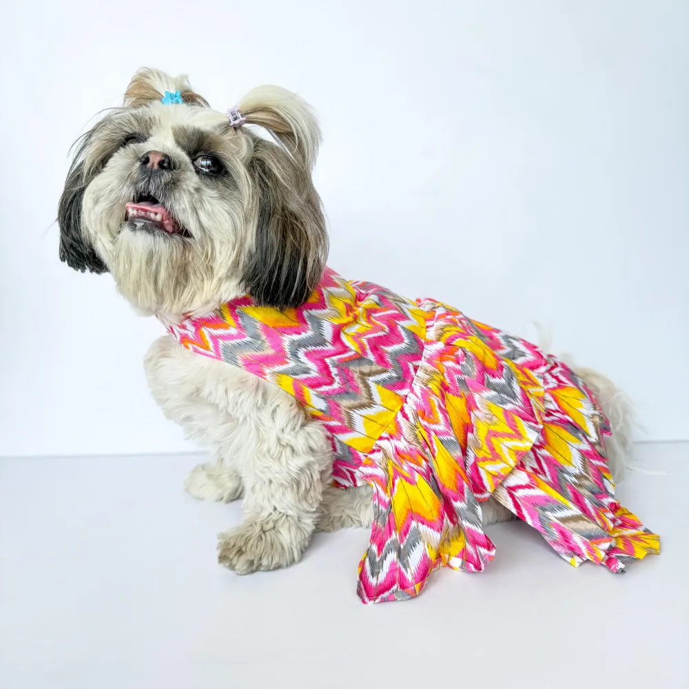Pawgypets Zig Zag Dress for Dogs and Cats (Pink)