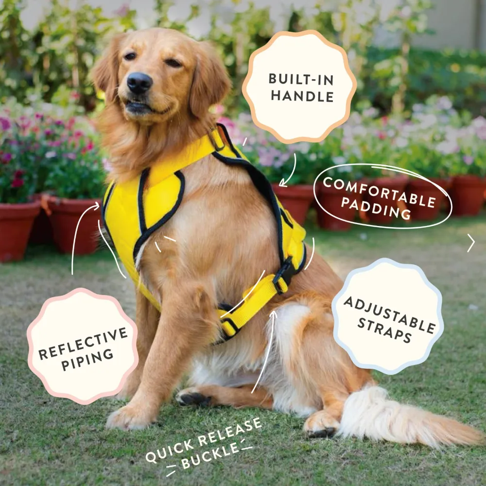 Pawpourri Adjustable Reflective Padded Harness for Dogs (Orange)