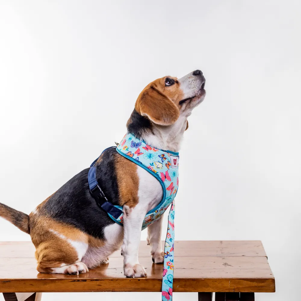 Pet And Parents Butterfly and Polka Reversible Harness for Dogs