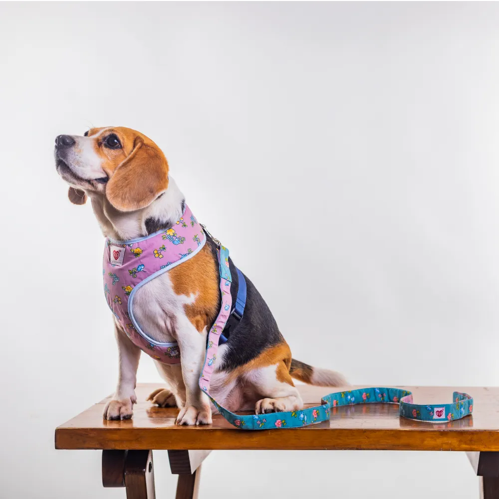 Pet And Parents Dainty Floral Reversible Harness for Dogs