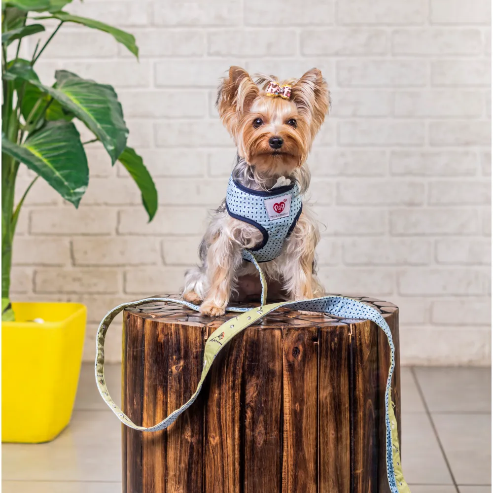 Pet And Parents Green Garden Reversible Harness for Dogs