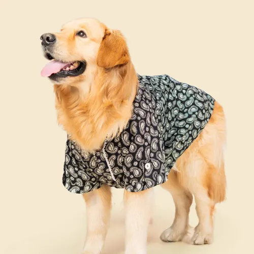 Pet Set Go Heritage Cotton Shirt for Dogs (Black)