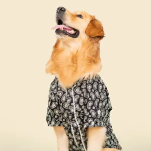 Pet Set Go Heritage Cotton Shirt for Dogs (Black)