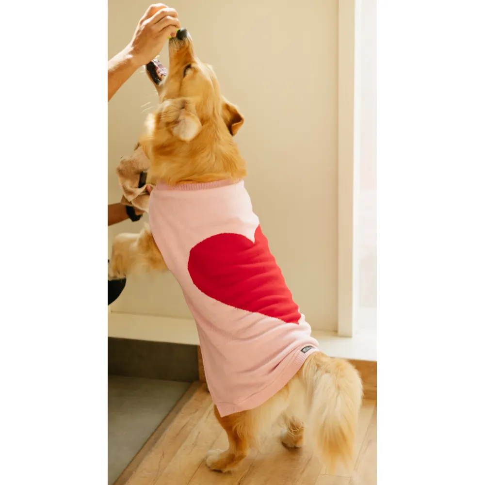 Pet Set Go Iras Sweater for Dogs and Cats (Red & Pink)