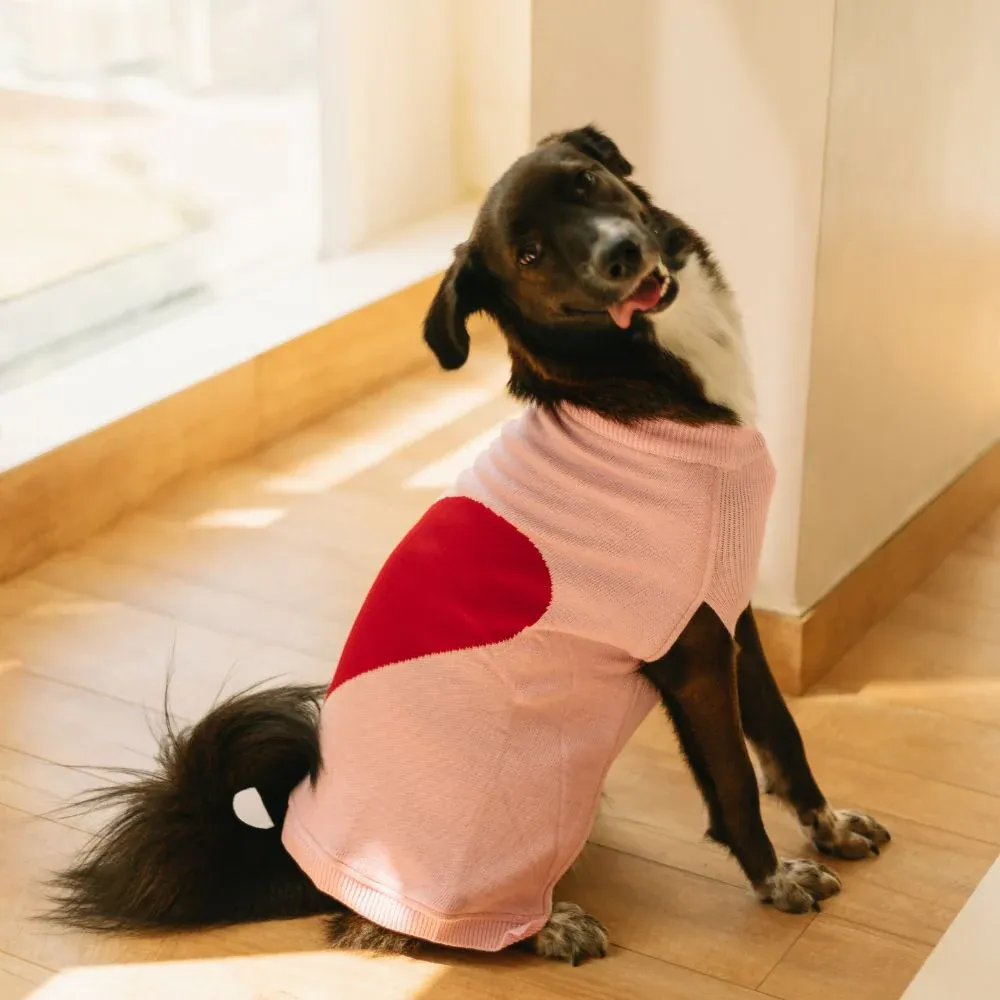 Pet Set Go Iras Sweater for Dogs and Cats (Red & Pink)