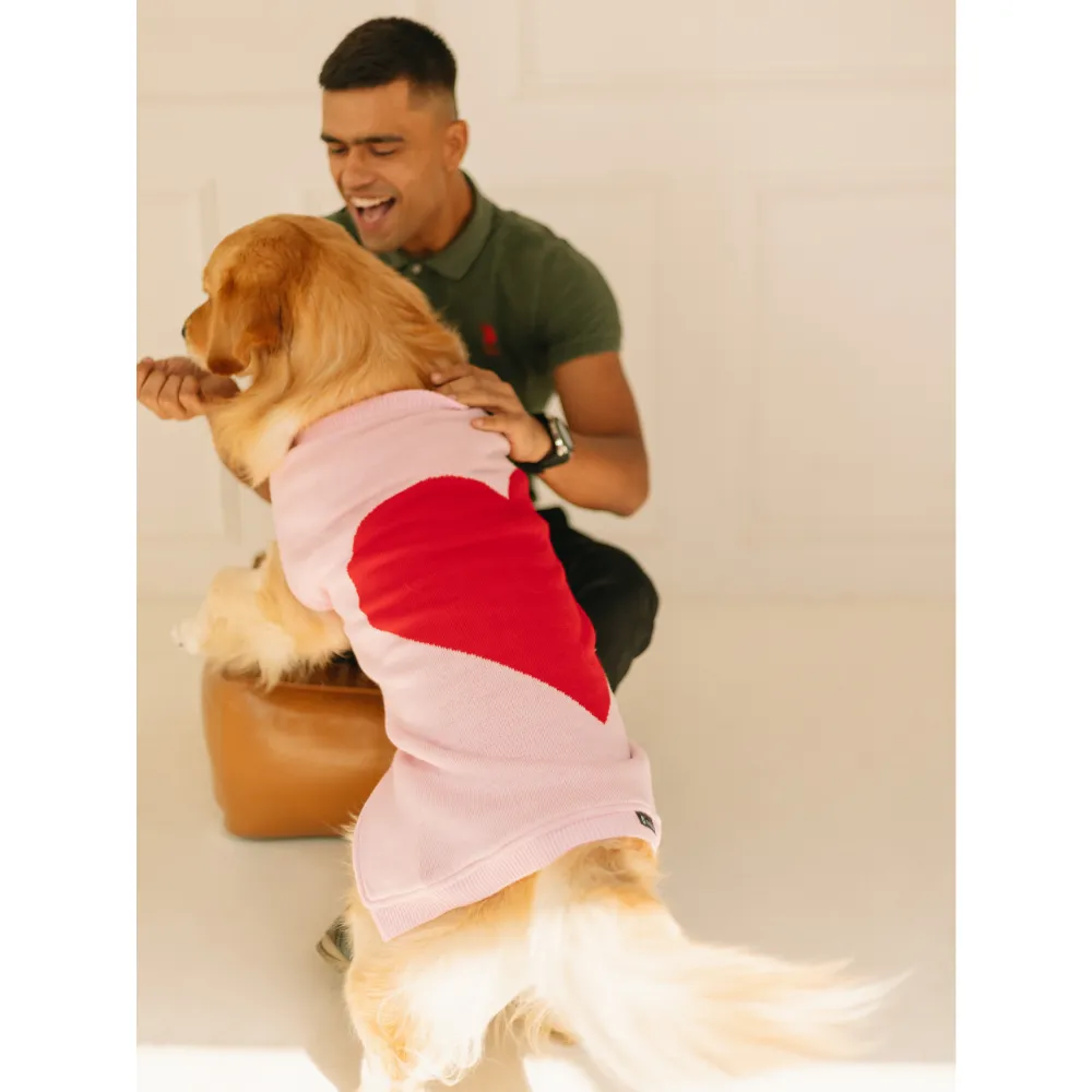 Pet Set Go Iras Sweater for Dogs and Cats (Red & Pink)