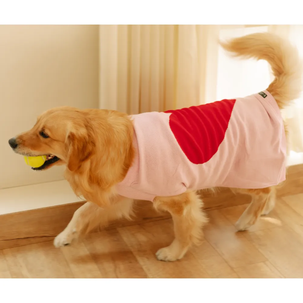 Pet Set Go Iras Sweater for Dogs and Cats (Red & Pink)
