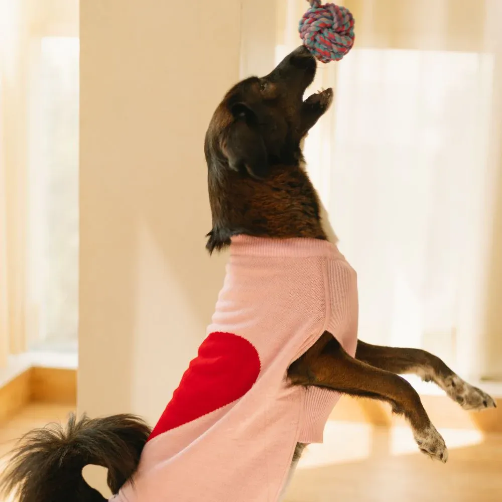 Pet Set Go Iras Sweater for Dogs and Cats (Red & Pink)