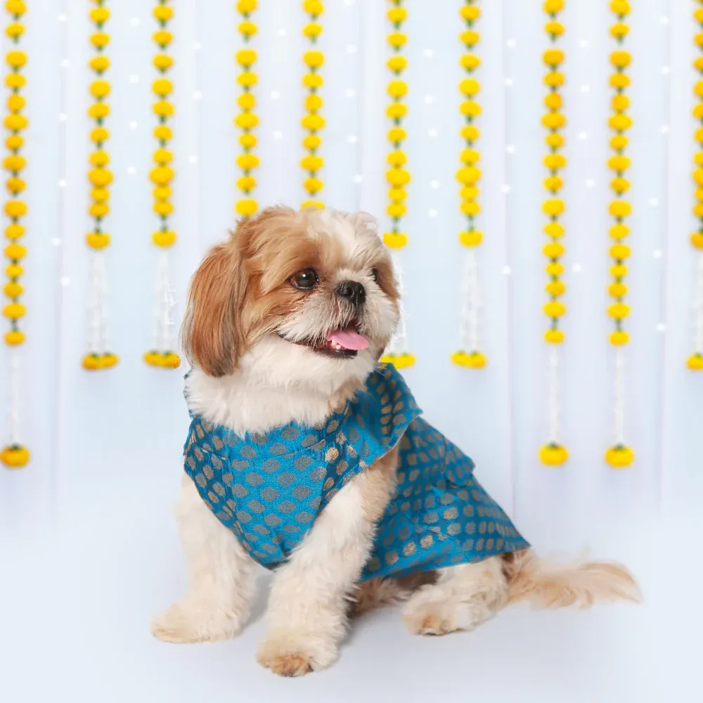 Pet Set Go Kurta with Bowtie  for Dogs (Blue)