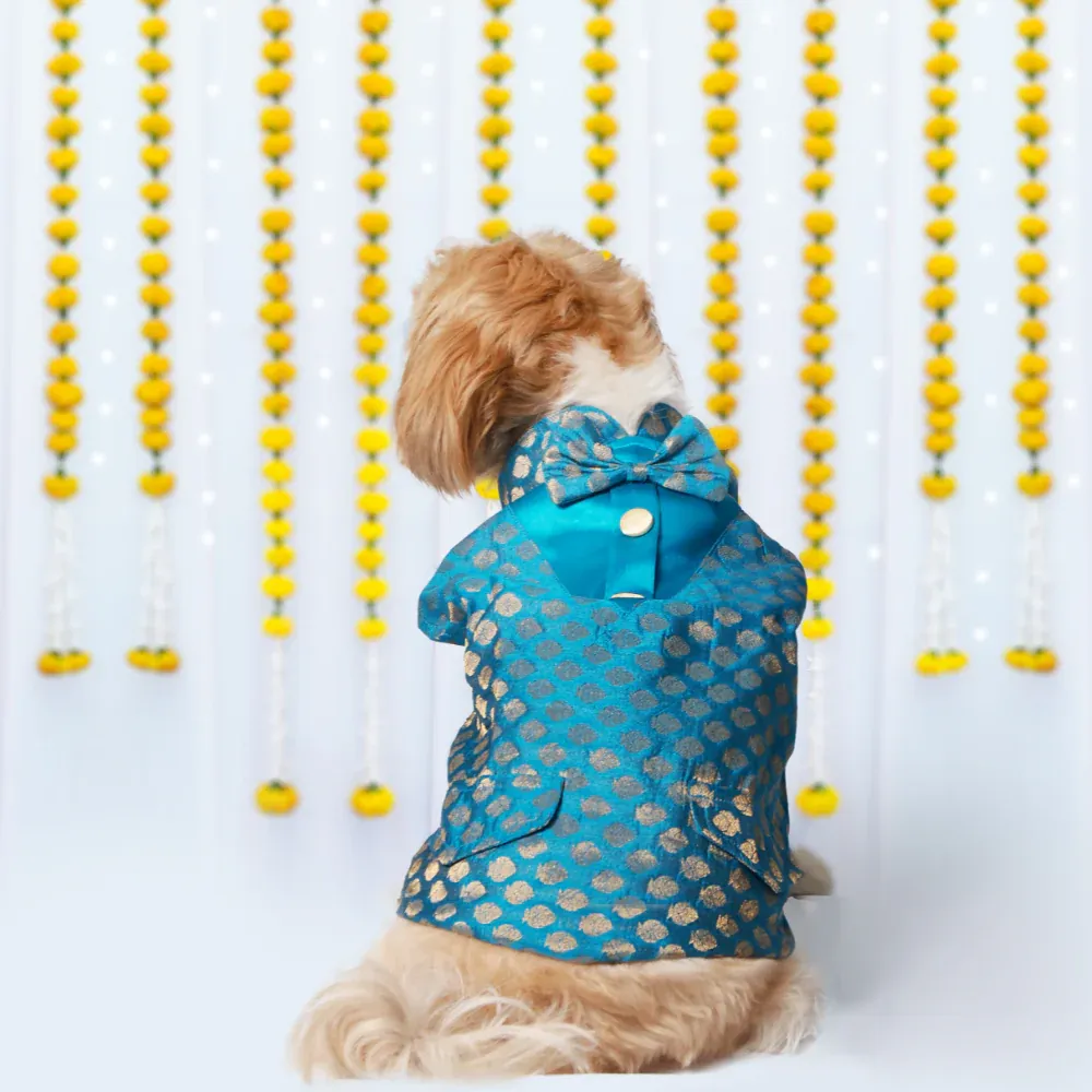 Pet Set Go Kurta with Bowtie  for Dogs (Blue)