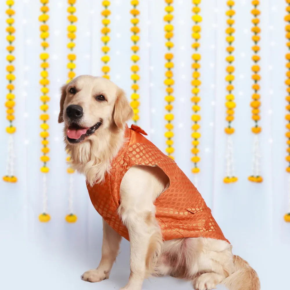 Pet Set Go Kurta with Bowtie  for Dogs (Orange)