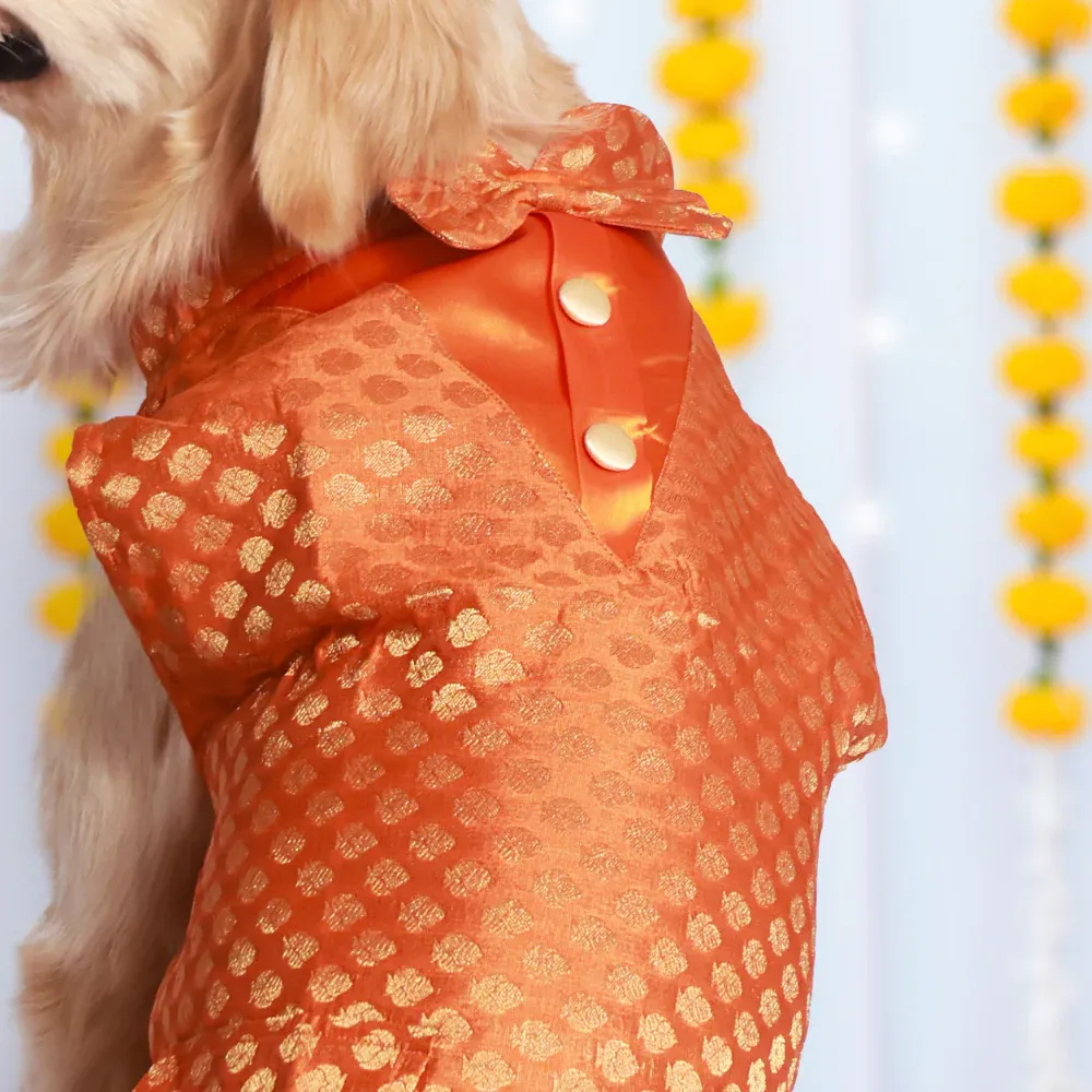 Pet Set Go Kurta with Bowtie  for Dogs (Orange)