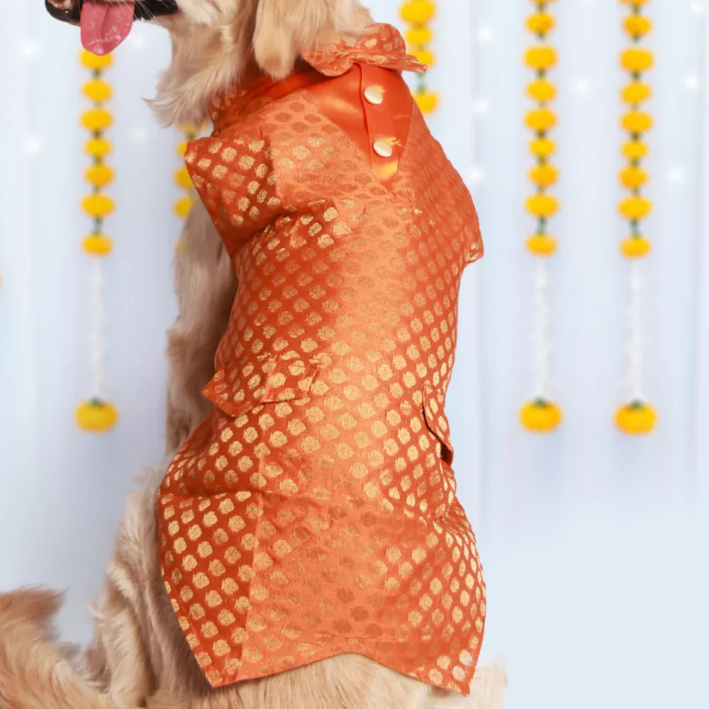 Pet Set Go Kurta with Bowtie  for Dogs (Orange)