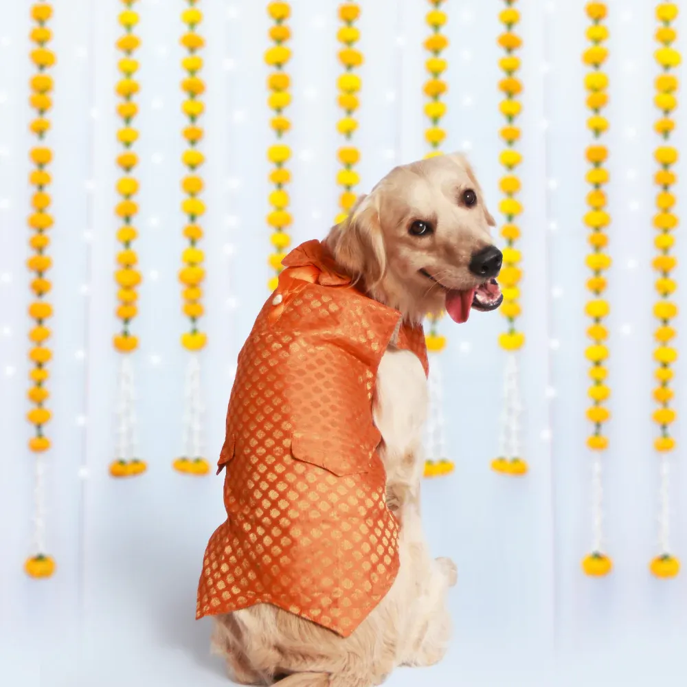 Pet Set Go Kurta with Bowtie  for Dogs (Orange)