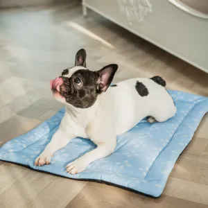 Pet Set Go Sky Bloom Mat for Dogs (Sky Blue)