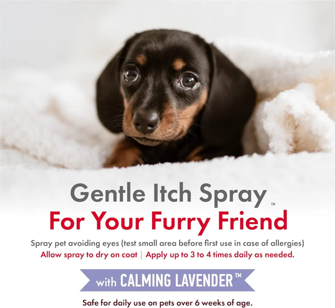 Petkin Lavender Hemp Calming itch Spray for Dogs and Cats