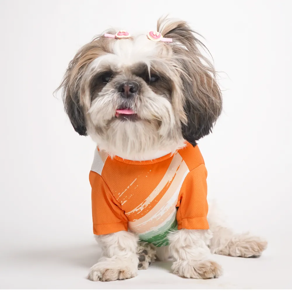 Pets Way Style 2 Republic Day T Shirt for Dogs