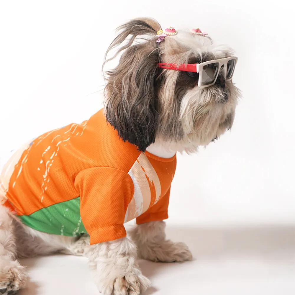 Pets Way Style 2 Republic Day T Shirt for Dogs