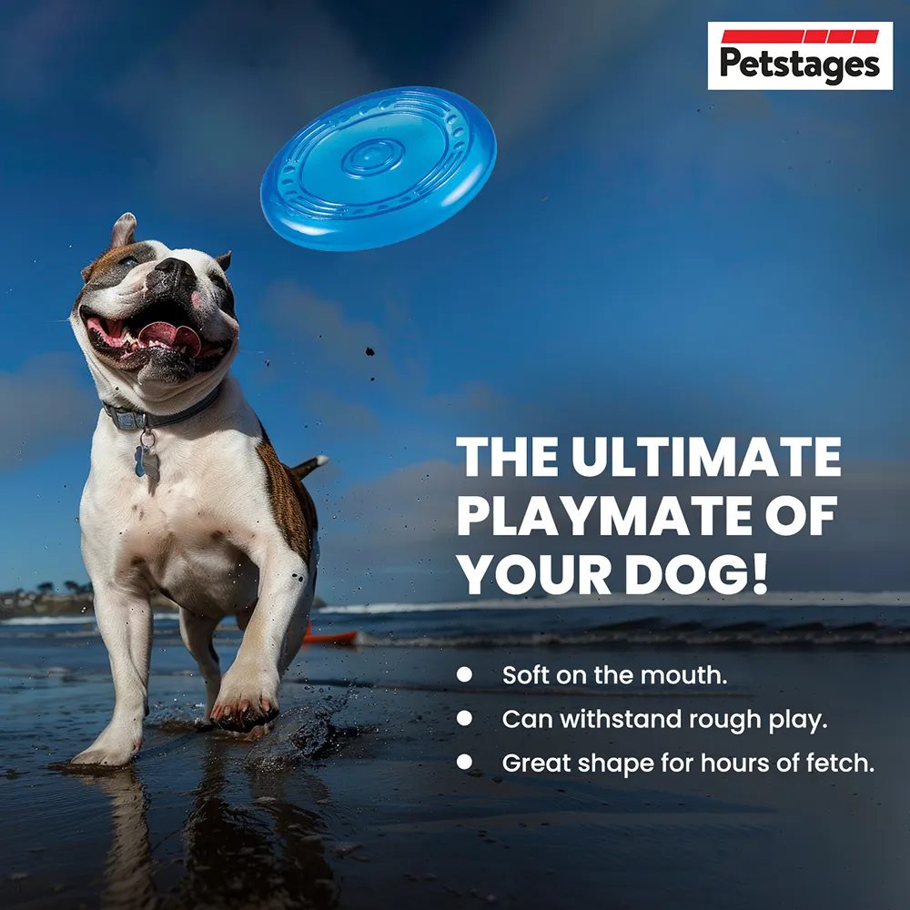 Petstages Orka Flyer Toy for Dogs (Blue)
