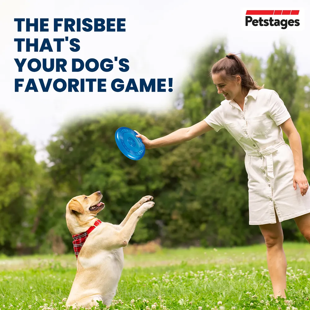 Petstages Orka Flyer Toy for Dogs (Blue)
