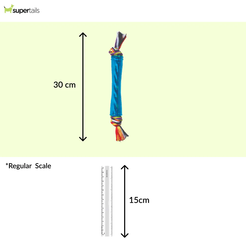 Petstages Orka Stick Toy for Dogs (Blue)