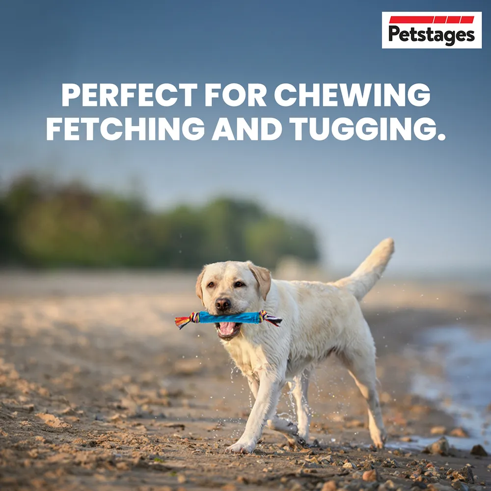 Petstages Orka Stick Toy for Dogs (Blue)