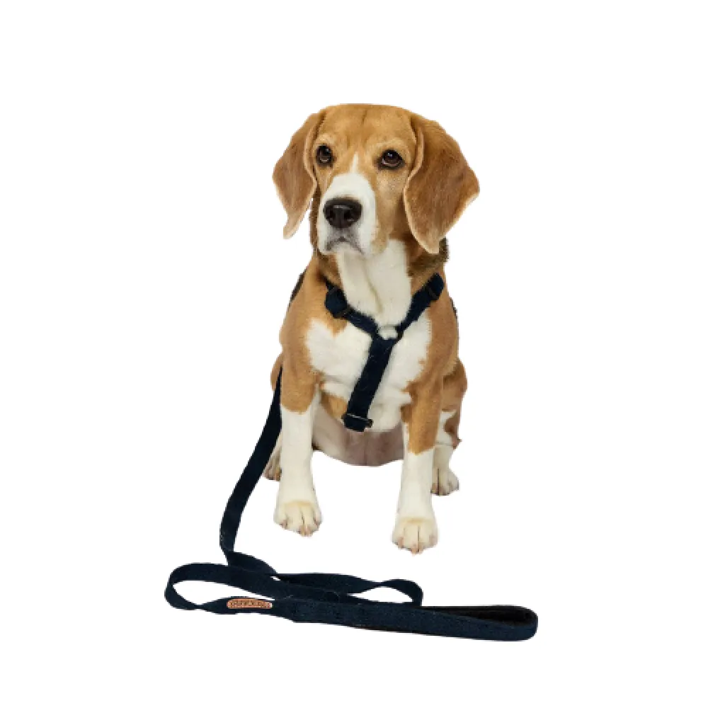 PetWale Cotton Padded Handle Denim Leash for Dogs (Blue)