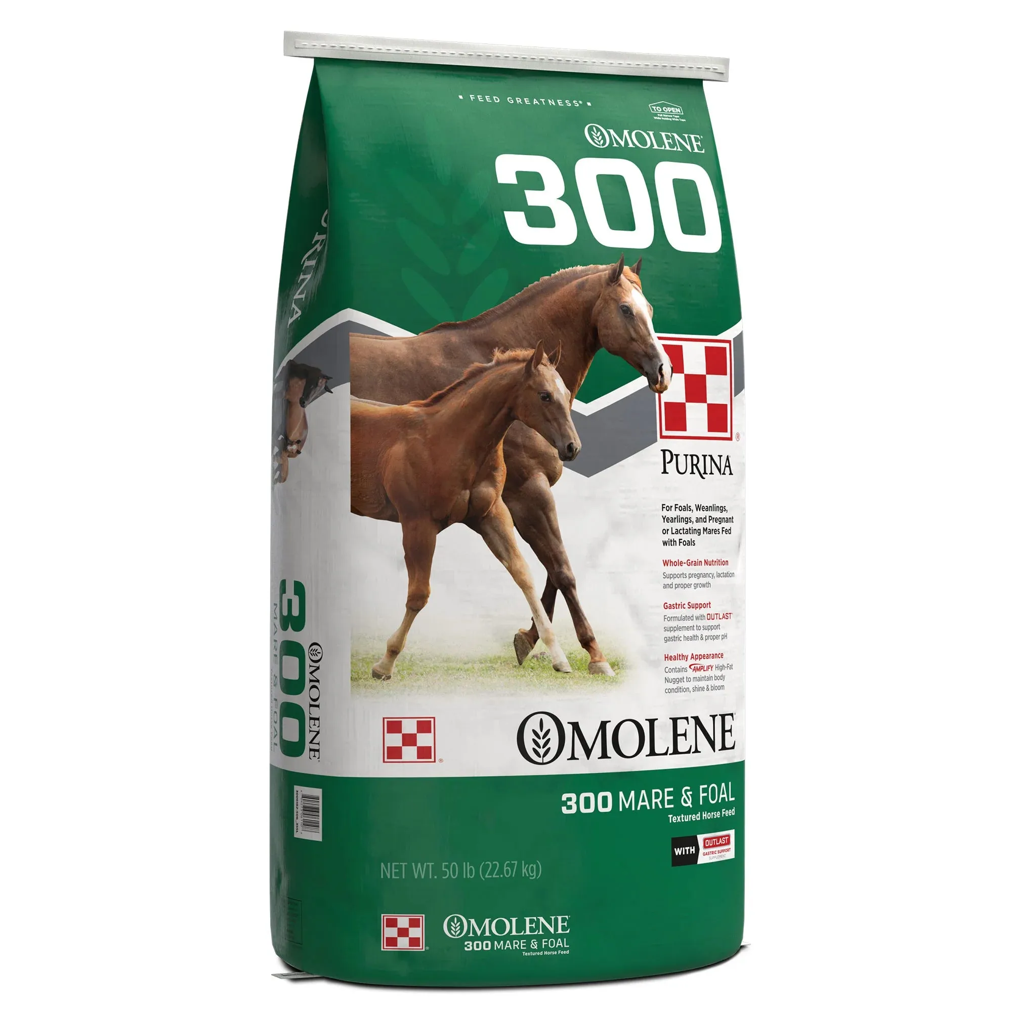 Purina OMOLENE 300 MARE   FOAL BG TEXT 50# 1/8