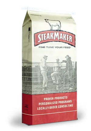Purina SteakMaker -Developer 12-3 Textured