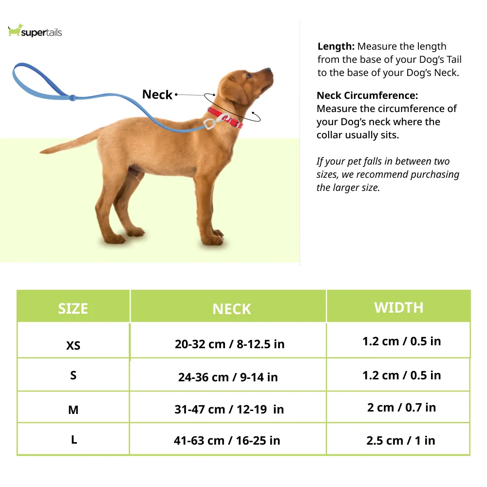Red Dingo Classic Collar for Dogs (Lime Green)