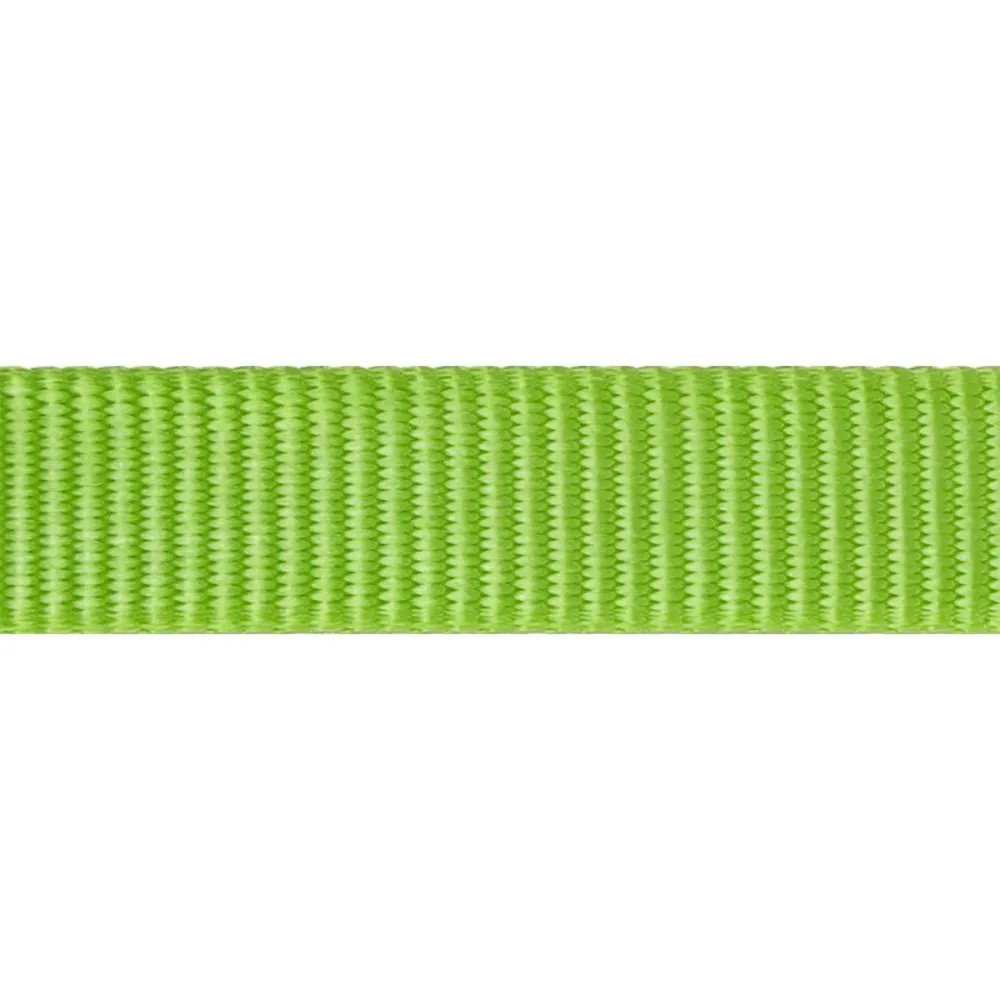 Red Dingo Classic Collar for Dogs (Lime Green)
