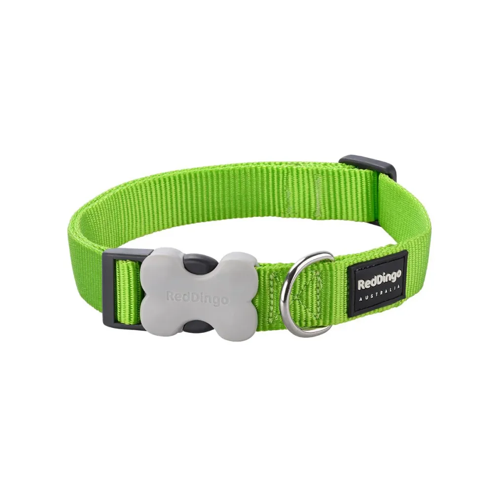 Red Dingo Classic Collar for Dogs (Lime Green)