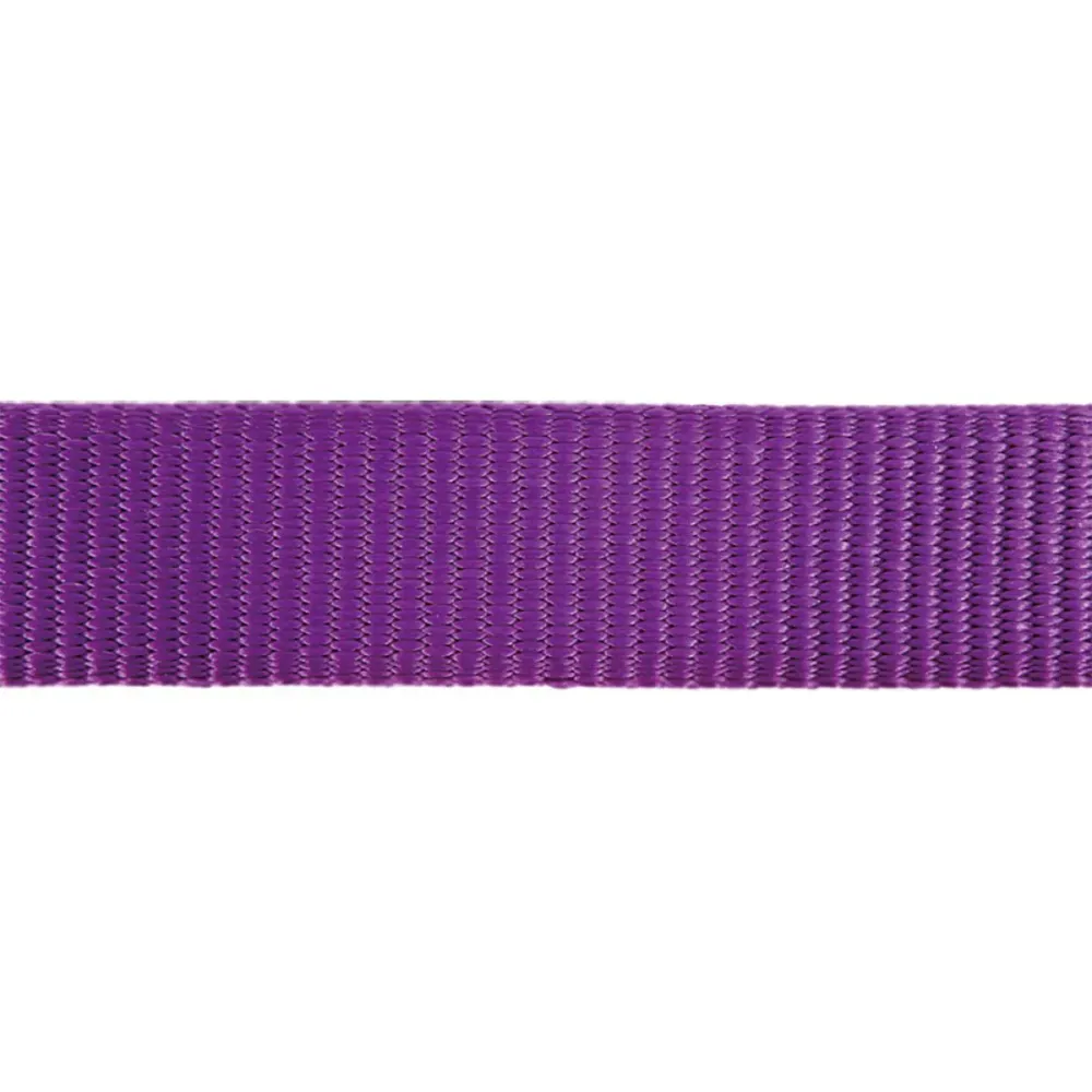 Red Dingo Classic Collar for Dogs (Purple)