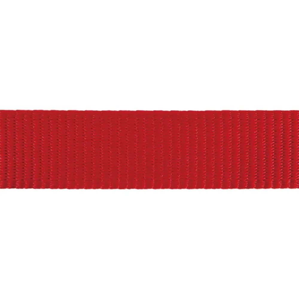 Red Dingo Classic Collar for Dogs (Red)