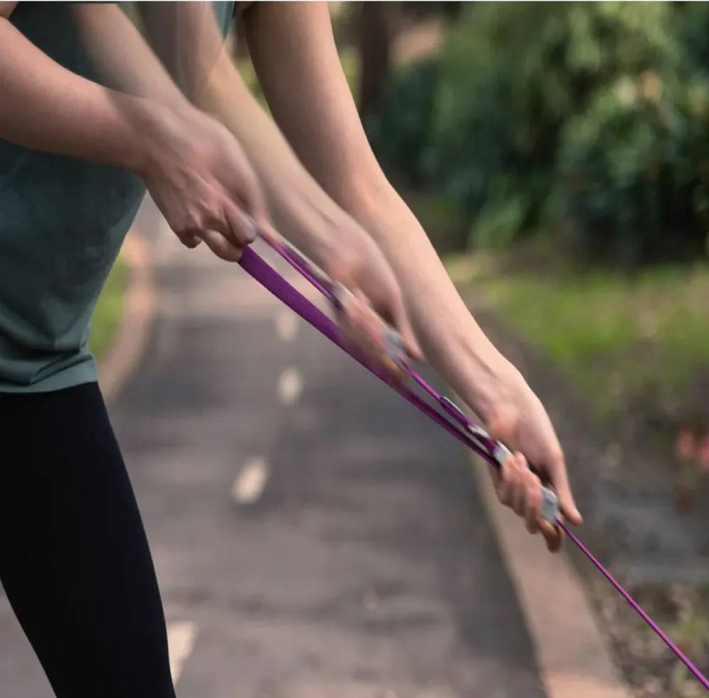 Red Dingo Classic SuperLead Leash For Dogs (Purple)