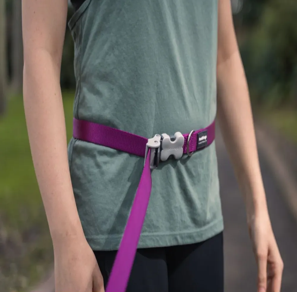 Red Dingo Classic SuperLead Leash For Dogs (Purple)