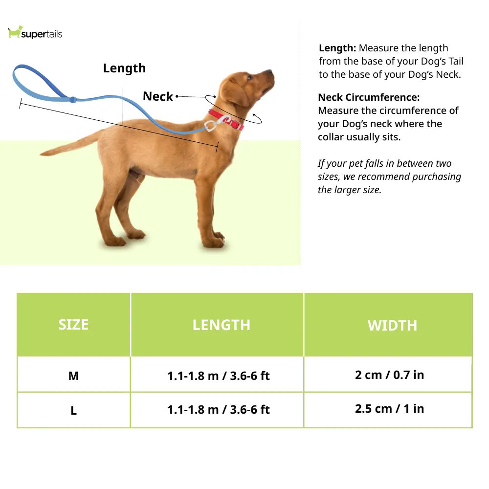 Red Dingo Lead Adjustable Classic Leash For Dogs (Purple)