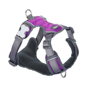 Red Dingo Padded Harness For Dogs (Purple)