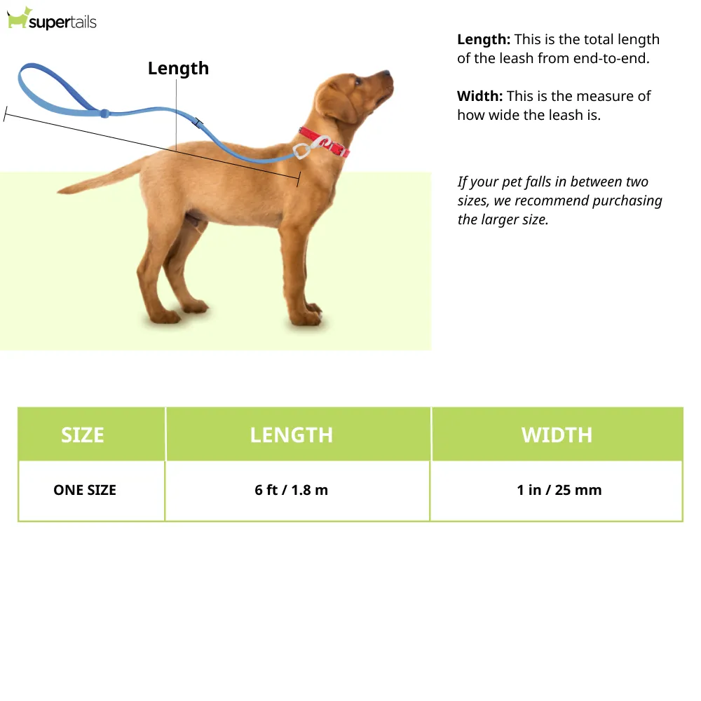 Ruffwear Flat Out Leash for Dogs (Rocky Mountains)