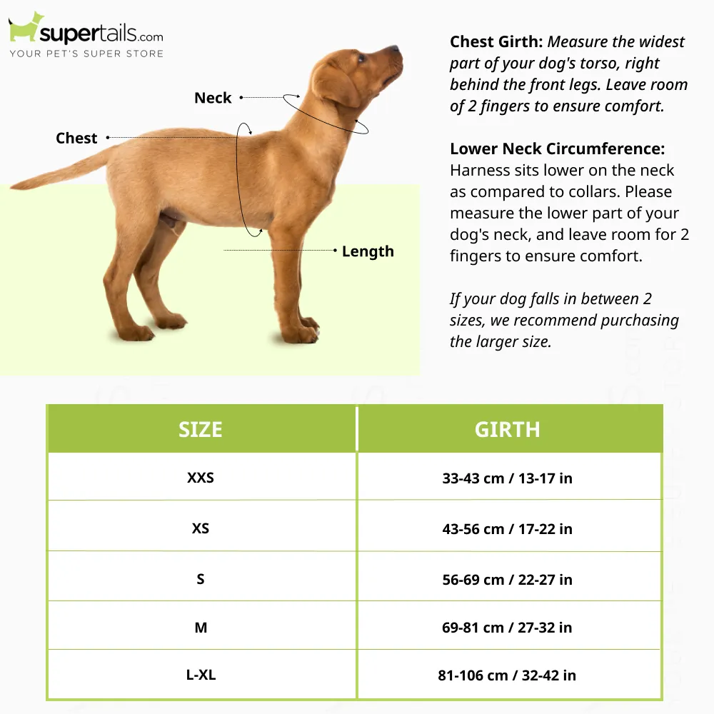 Ruffwear Webmaster Harness for Dogs (Red Currant)