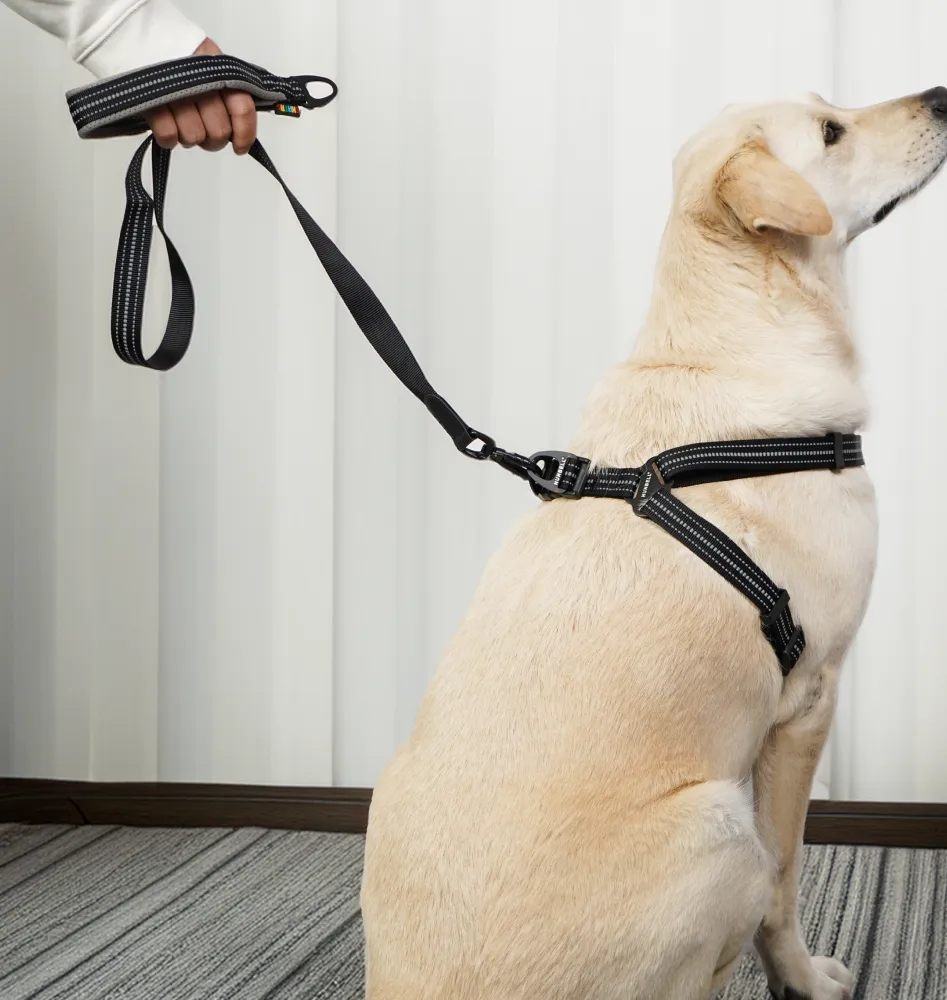Skatrs Adventure in Style & Comfort Eclipse Leash for Dogs and Cats (Black)