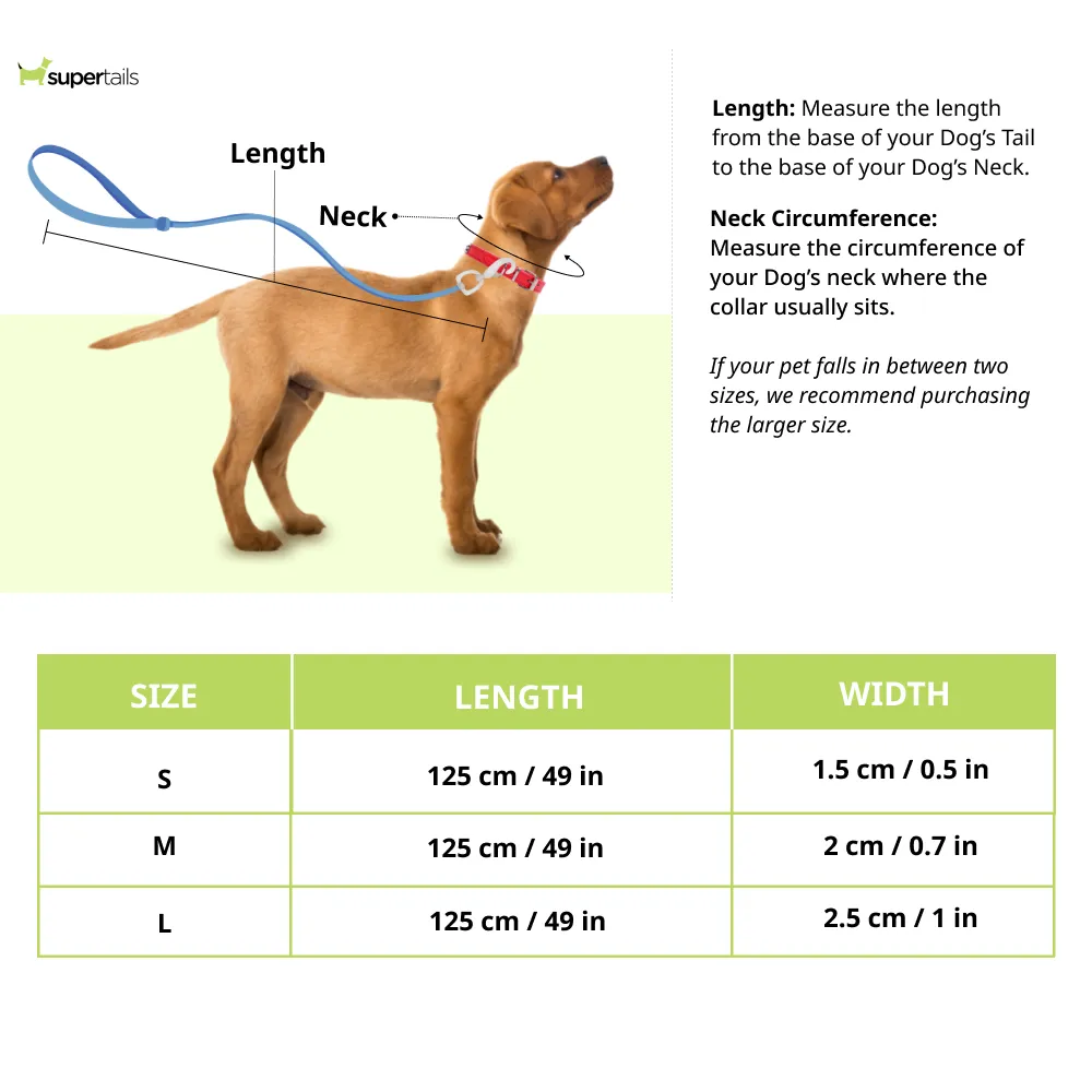Skatrs Adventure in Style & Comfort Fiery Leash for Dogs and Cats (Red)